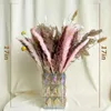 Dried Flowers Grass Decor Small for Home Wedding Arrangements Natural Pompous Room Decorat