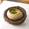 Bowls Tableware Bird Nest High Face Value Ceramics Instant Noodle Bowl Originality Dessert Eggshell Shape Steamed Egg