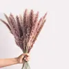 Fleurs séchées, petite herbe naturelle sèche pour la décoration, vraies plantes, décoration de mariage à domicile, accessoires en bouquet de Phragmites