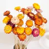 ドライフラワーヘッド/バンチ天然chrysanthemumデイジーフラワーウェディングアレンジメントマテリアルデコレーションホームリビングルームの装飾