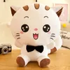 Wholesale large size big face cat plush toy cat doll girls sleeping pillow cushion doll children's gifts