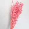 Dried Flowers Natural Beads Bouquet Eternal Real Dry Plant For Wedding Party Christmas Home Decoration Accessories