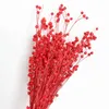 Dried Flowers Natural Beads Bouquet Eternal Real Dry Plant For Wedding Party Christmas Home Decoration Accessories