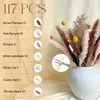 Dried Flowers Grass Decor Small for Home Wedding Arrangements Natural Pompous Room Decorat