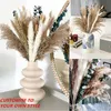 Fiori secchi Erba Phragmites naturale Bouquet di eucalipto Decorazioni per la casa Ornamenti per feste di nozze di bellezza