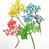 Dried Flowers 60pcs Pressed Elderflower With Stalk Plant Herbarium For Jewelry Postcard Phone Case Bookmark Craft DIY Accessories