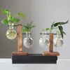 Planters POTS Växtvaser Hydroponic Vintage Glass Flower Pott Transparent växtkruka Trä Växthyllor Tablett Hem Bonsai Decor