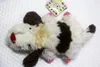 豪華な人形のhowl's Moving Castle Heen Dog Soft Stiffed Plush Toy 22cm NWT 230626