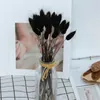 Dried Flowers 20PC Flower Bunny Grass Bunch Real Bouquet For Photography Props Flores Diy Home Wedding Decor