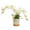 Plantadores vasos de seda borboleta orquídea flores artificiais bonsai orquídea vaso de flores casa decoração de casamento arranjos plantas falsas