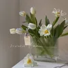 Vaser vertikalt mönster fackla glas vas nordisk enkel transparent dekorativa ornament vardagsrum mjuk blomma vas 230625