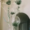 Party-Dekoration, 12 Zoll, 18 Zoll, 24 Zoll, transparenter Bobo-Ball, Geburtstag, Hochzeit, Ballon, aufgeblasene Heliumballons, Festival-Einstellung, runder Ballon