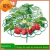 Latest Easy To Disassemble Not Easy To Break Detachable Bracket Prevent Fruit Decay Circular Plastic Strawberry Rack Easy To Store