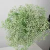 Torkade blommor Naturliga färska bevarade Gypsophila Baby's Breath Flower Buquets gåva till bröllopsdekoration Valentiner