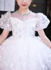 Girl Dresses Children Prom Dress Chic Elegant Pearl Butterfly Bubble Sleeve Princess Kids Girls Party Performance Clothing Ball Gowns