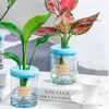 Sadzarki garnki hydroponiczne rośliny rośliny praktyczne zamienne przezroczyste plastikowe akcesoria 1PCS trwały doniczka kwiatowa Wysoka jakość R230621