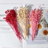 Dried Flowers Multi-Color Aromatherapy Hand Account Gift Glass Cover Wedding Box Miniature Arrangement DIY Material