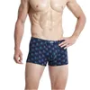 Underpants 4 PCS Мужчина сексуальное нижнее белье лето Maillot de Bain Boy Underpant Костюмы боксерские шорты сплошной цвето