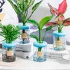 Planters krukor Hydroponic Plant Pot Praktisk ersättning Transparent plast 1stillbehör Hållbar blomkruka Hög kvalitet