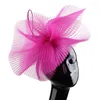 Bérets Fil de mariée Coiffure Célèbre Dames Noble Net Cheveux Accessoires Plume Anglais Banquet Top Hat