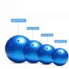 Yoga Balls Anti-burst Sports Yoga Balls with Pump 55cm/65cm/75cm/85cm Pilates Physical Fitness Exercise Ball Home Gym Massage Ball 230625