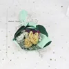 Gedroogde bloemen Mini Gypsophila vergeet-me-not minnaar gras anjer Natural Flower Photo Props Diy Bouquet Craft Gift Box Accessoires