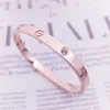 Designer charm New Carter Same Style Diamond 18K Bracelet for Couples Fashion Trend and Colorless Valentine's Day Luxury Gift