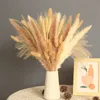 Dried Flowers Natural Grass Bouquet Decor Long-Lasting for Home and Wedding Arrangement Decoratio