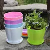 Planters krukor storlekar blomma potten runda planterare mini blomkruka för suckulenter hemmakontor dekor plantera högkvalitativ växt potten r230621