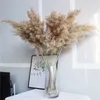 Dried Flowers 5pcs Grass Dry Flower BunchTable Bulrush Party Home Decor Natural Phragmites Reed Wedding Decoration