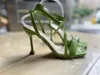 Sandals Sexy Cross-Tied GREEN WOVEN PADDED STRAP LACE UP HEELS Sandal Thin High Shoes For Women Plus Size 35-42