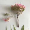 Dried Flowers 6/pcs Colorful Small Natural Floral Plants Mini Real Bouquets Home Decoration Photography Props Art Craft