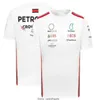 Zomer Formule 1 T-shirt voor heren F1 race-T-shirt nieuw teampoloshirt dezelfde stijlaanpassing