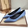 Kvinnliga sidenpumpar Big Size Women Red Navy Blue Sliver Fashion Office Working Wedding Party Shoes Low High Heels Autumn E0085