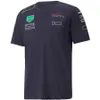 Camisetas Masculinas Bull 2022 Nova Temporada F1 Camiseta Equipe de Fórmula 1 Custom Motorsport Roupa de Trabalho de Verão