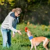 犬の首輪アイスカラー犬猫通気性スカーフ冷却バンダナ登山のためのウォーキングのための夏の屋外ペット