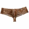 Underbyxor 3st/mycket sexig bikini herrboxare shorts leopard stil underkläder manlig elastisk stretch modedesign