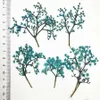 Dried Flowers 60pcs Pressed Elderflower With Stalk Plant Herbarium For Jewelry Postcard Phone Case Bookmark Craft DIY Accessories