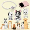 925 Gümüş Boncuklar Takılar Pandora Cazibesi Black Cat Pet Köpek Seti Paw Schnauzer Akita Pug Charm Set