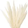 Fleurs séchées, petite herbe naturelle sèche pour la décoration, vraies plantes, décoration de mariage à domicile, accessoires en bouquet de Phragmites