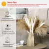 Fiori decorativi 30pcs Bouquet essiccato Reed Pampas Erba Decorazione di nozze Anno Natale Flores Artificiale Mariage Home Decor