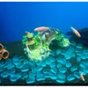 Objets décoratifs Figurines Aquarium Fish Tank Aménagement Paysager Décoration Pont Paysage Ornements Pavillon Arbre plante Résine Pet Supplies Maison 230626