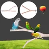 Stands Pet Parrot Bird Standing Stick Pepper Wood Birdcage Stand Pole Sticks Bird Perch Bite Claw Grinding Toy Bird Cage Accessories