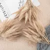 Dried Flowers Natural/White Big Reed Grass Phragmites Flower Bunch Wedding Party Decoration Tools