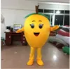 Haute qualité mignon Loquat mascotte Costumes Halloween fantaisie robe de soirée personnage de dessin animé carnaval noël publicité de Pâques fête d'anniversaire Costume tenue