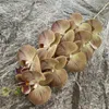 Decoratieve Bloemen Kunst Latex Phalaenopsis Bruiloft Pografie Plafond Bloemstuk Thuis Woonkamer Raam Pseudo Orchidee