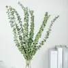 Dried Flowers 10PCS/SET Home Decoration Natural Eucalyptus DIY Wedding Shooting Party Decor Supplies For Leaves Flower