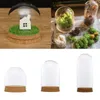 Glass Dome Cloche Cover Wood Cork Base Microlandscape Holder Bell Jar For DIY Flower Plants Vase Table Ornaments Home Decoration