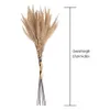 Dried Flowers Natural/White Big Reed Grass Phragmites Flower Bunch Wedding Party Decoration Tools