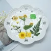 Dekorative Blumen DIY getrocknete Harzformfüllungen UV-Expoxy-Blume für Nagelkunst gepresste Heimdekoration Kunsthandwerk